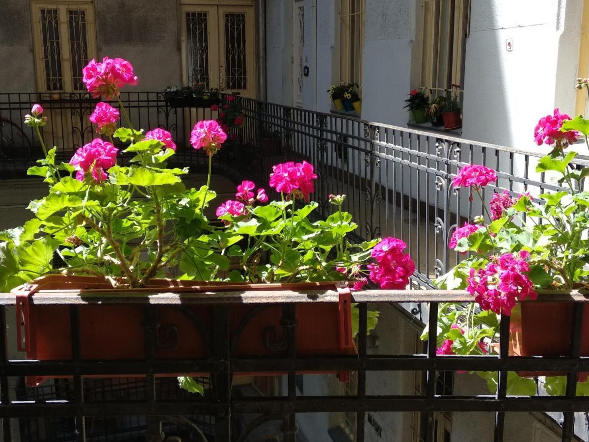 A Quiet Place In The Heart Of The City Budapest Luaran gambar