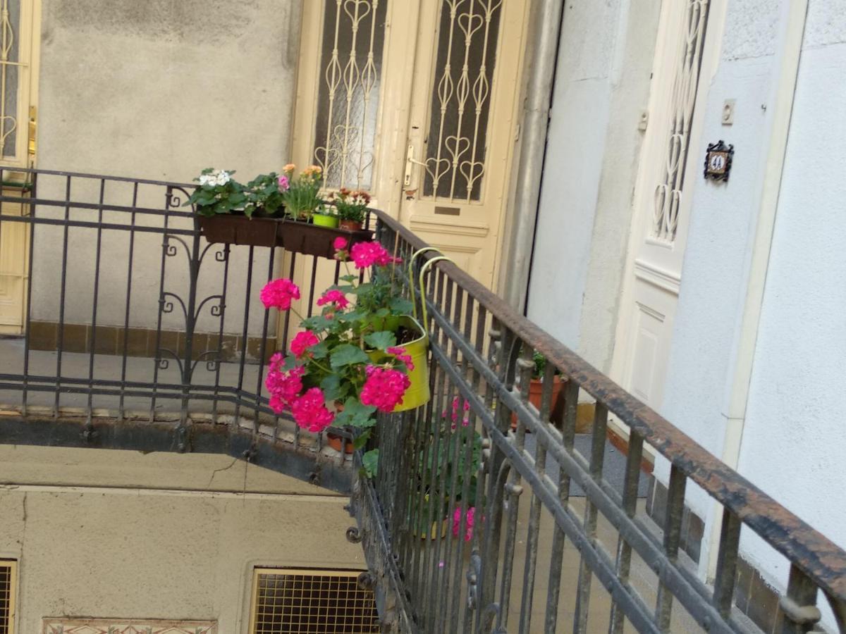 A Quiet Place In The Heart Of The City Budapest Luaran gambar